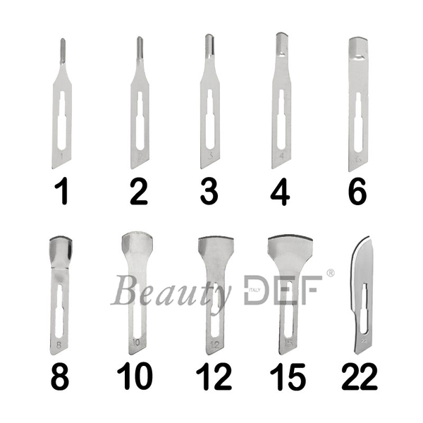 Corn Blade (Various)