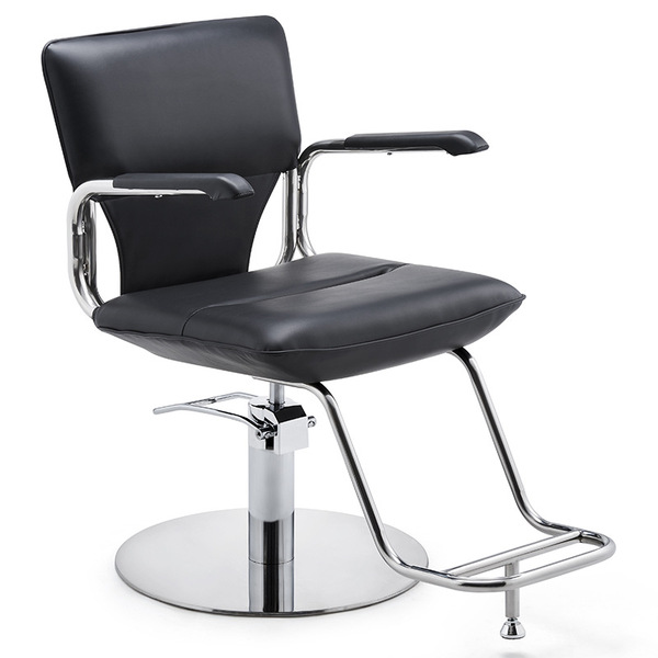 Styling Chair DF24-256